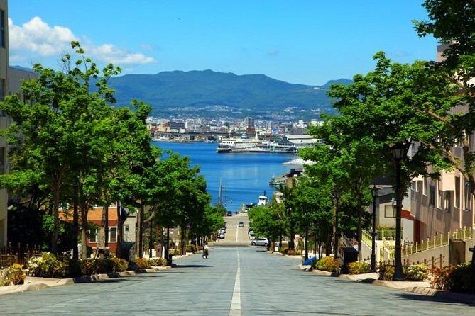 Hakodate 6hr Private Tour with Government-Licensed Guide - Detailed Breakdown of the Itinerary