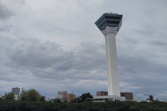 Hakodate: Goryokaku Star Fort & Tower Guided History Tour - Who Would Love This Tour?