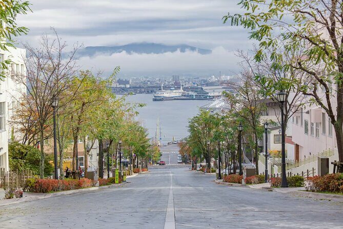 Hakodate Highlights 5 Hours Private Shore Excursion - Practical Considerations and Value