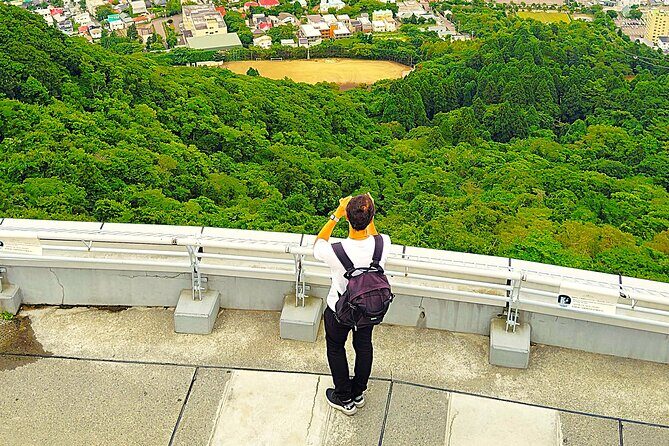 Hakodate: Historic Port Walk & Mt. Hakodate Panoramic Views - Price and Value Analysis