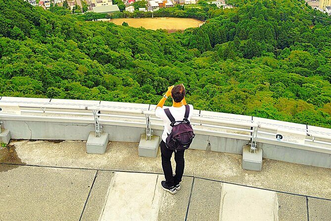 Hakodate: Romantic Port Walk & Mt. Hakodate Night View - Who Should Consider This Tour?