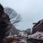 Hakone Full-Day Private Tour Hotel Pickup and Highlights - Final Thoughts
