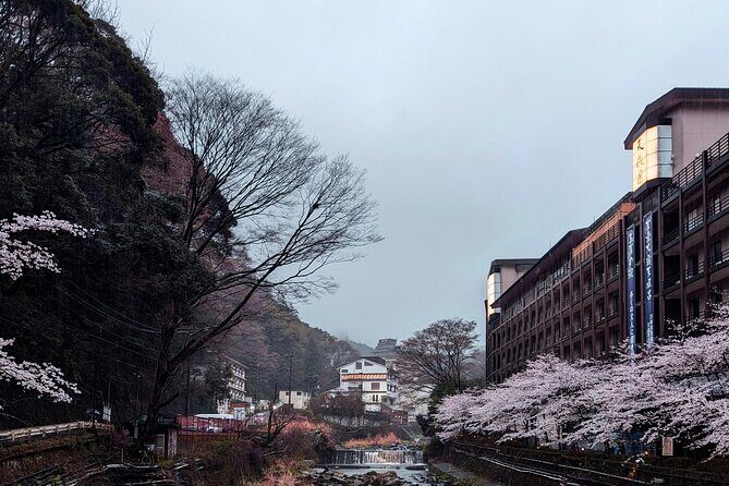 Hakone Full-Day Private Tour Hotel Pickup and Highlights - Final Thoughts