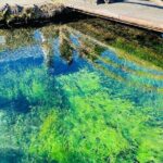 Hakone & Mount Fuji Day Trip:Lake Ashi Torii Gate & Oshino Hakkai - Authentic Experiences and Practical Tips