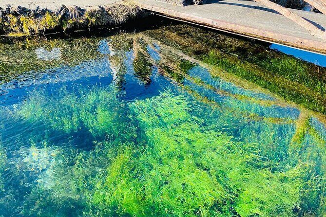Hakone & Mount Fuji Day Trip:Lake Ashi Torii Gate & Oshino Hakkai - Authentic Experiences and Practical Tips