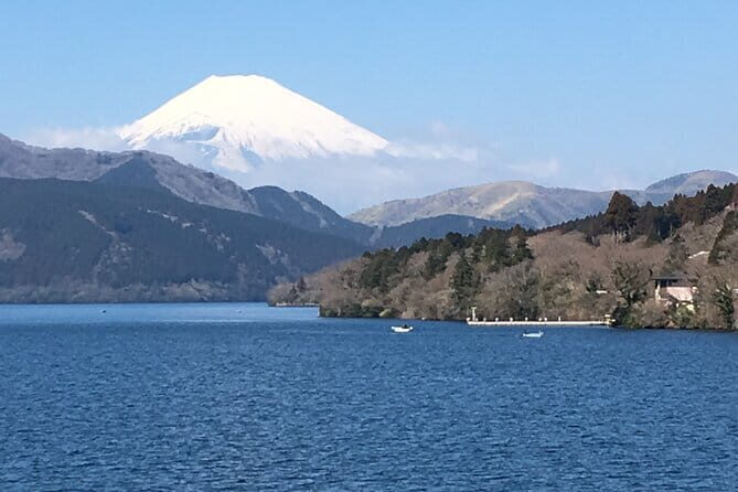 Hakone one-day tour with views and Onsen hot spring! - Authentic Experiences & Traveler Insights