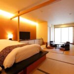 Hakone Onsen Hotel Stay with Optional Private Car Transfer - Who Is This Tour Best Suited For?