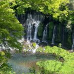 Hakone Private Car Sightseeing Tour - Why This Tour Offers Value