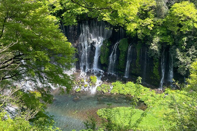 Hakone Private Car Sightseeing Tour - Why This Tour Offers Value