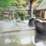 Hakone Private Tour: Onsen, Lake Ashi Cruise & Mt. Fuji Views - The Itinerary in Detail: What You Can Expect