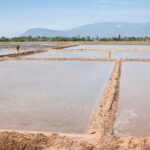 Half-Day Adventure to the Pepper Farm by Scooter - Discovering Kampot’s Countryside on a Scooter