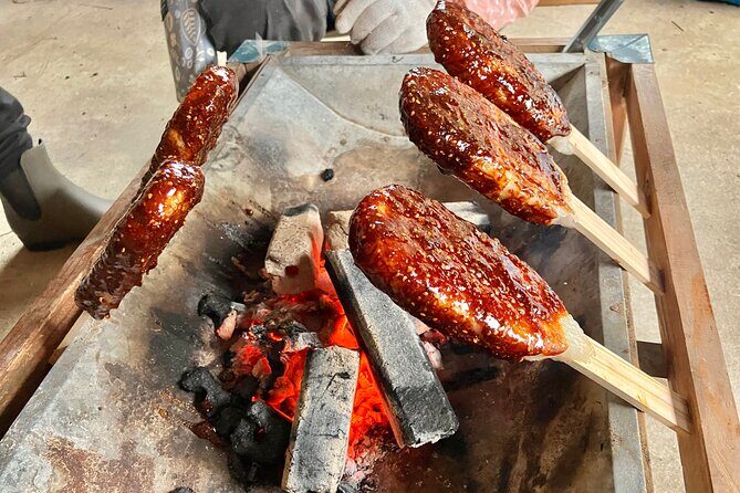 Half Day Countryside Tour in Shinshiro Japan - Who Should Choose This Tour?