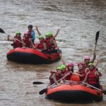 Half Day Elephant care and Whitewater Rafting Adventure - In-Depth Look at the Tour Experience
