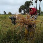 Half Day Floating Village ( Mechrey) & Tole Sap Tour - Why This Tour Stands Out