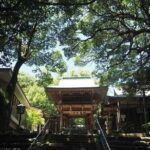 Half Day Fukuoka Island Car Tour with Food - Who Is This Tour Best For?