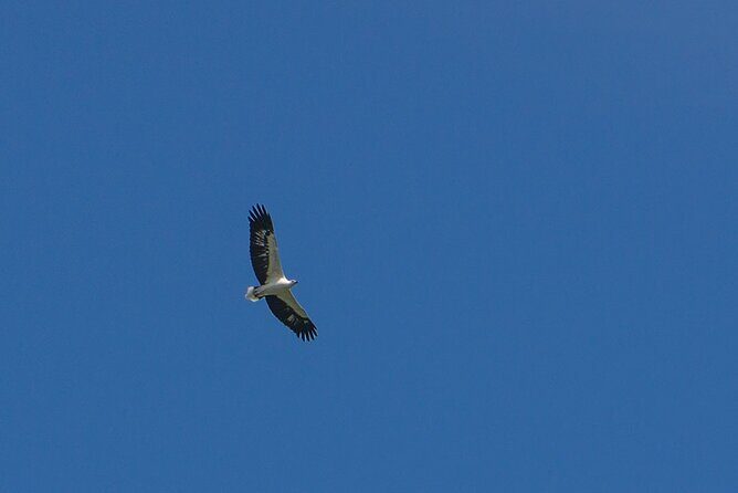 Half-Day Geopark Cruise from Langkawi - What We Like About the Tour
