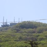 Half Day Hakodate Tour with Government Licensed English guide - Authentic Reviews and Real Experiences