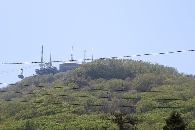 Half Day Hakodate Tour with Government Licensed English guide - Authentic Reviews and Real Experiences