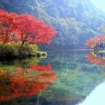 Half-Day Hangzhou Jiuxi Stream and Tea Plantation Experience - Transportation and Comfort