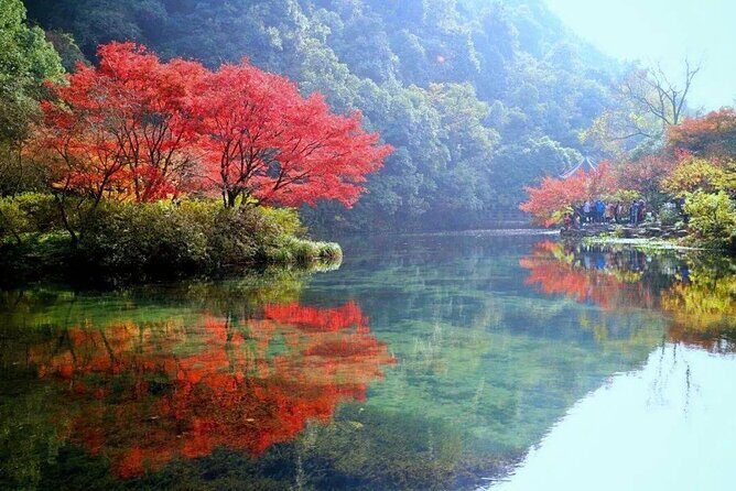 Half-Day Hangzhou Jiuxi Stream and Tea Plantation Experience - Transportation and Comfort