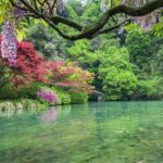 Half-Day Hangzhou Nine Creeks Hiking Tour with Tea Plantation Experience - A Close Look at the Itinerary and Experience