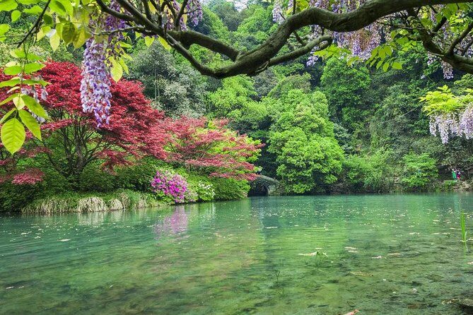 Half-Day Hangzhou Nine Creeks Hiking Tour with Tea Plantation Experience - A Close Look at the Itinerary and Experience