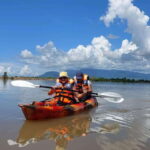 Half Day Kayak Guided Tour to the Green Mangroves Forest - An In-Depth Look at the Green Mangroves Kayak Tour