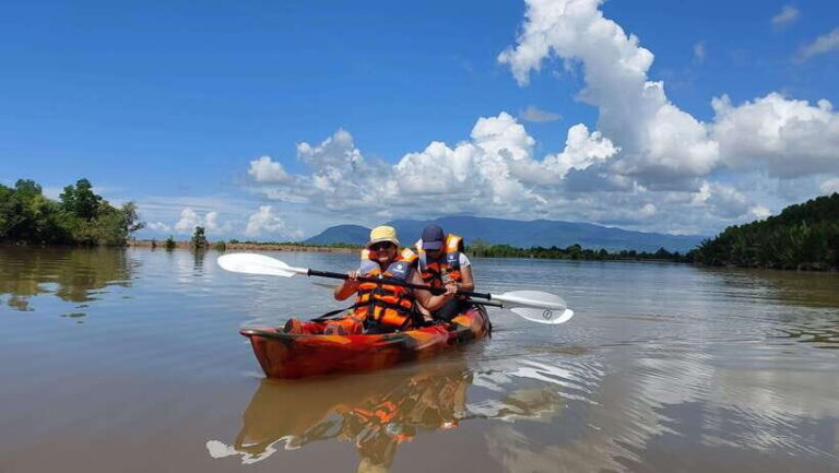 Half Day Kayak Guided Tour to the Green Mangroves Forest - An In-Depth Look at the Green Mangroves Kayak Tour