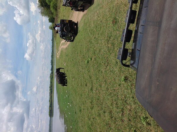 Half Day - Minneriya National Park Safari Tour From Habarana/Sigiriya - Who Should Consider This Tour?