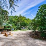 Half-Day Morning Bamboo Island Tour from Phi Phi by Longtail Boat - The Full Scoop: What to Expect from This Tour