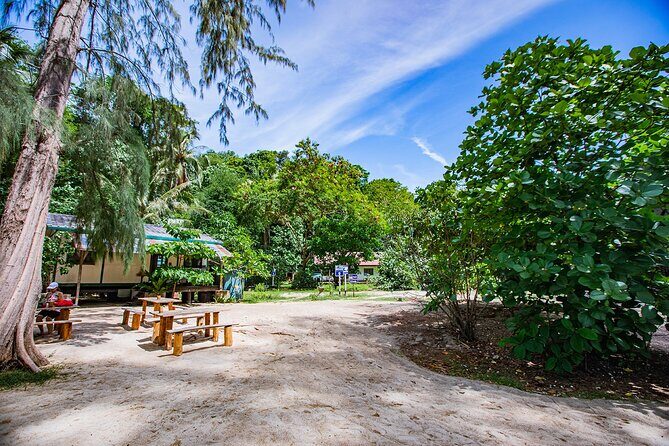 Half-Day Morning Bamboo Island Tour from Phi Phi by Longtail Boat - The Full Scoop: What to Expect from This Tour