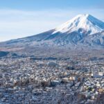Half-Day Mt. Fuji Scenic Drive: 3-Hour Tour - Exploring the Details of the Half-Day Mt. Fuji Scenic Drive
