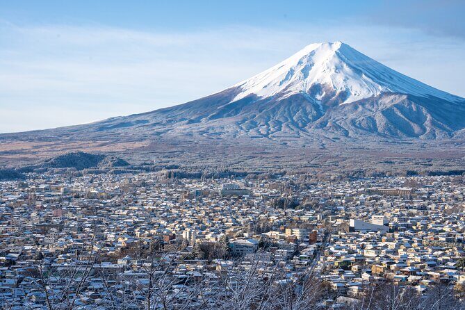 Half-Day Mt. Fuji Scenic Drive: 3-Hour Tour - Exploring the Details of the Half-Day Mt. Fuji Scenic Drive