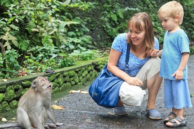Half Day Private Tour in Ubud - A Detailed Look at the Tour Itself