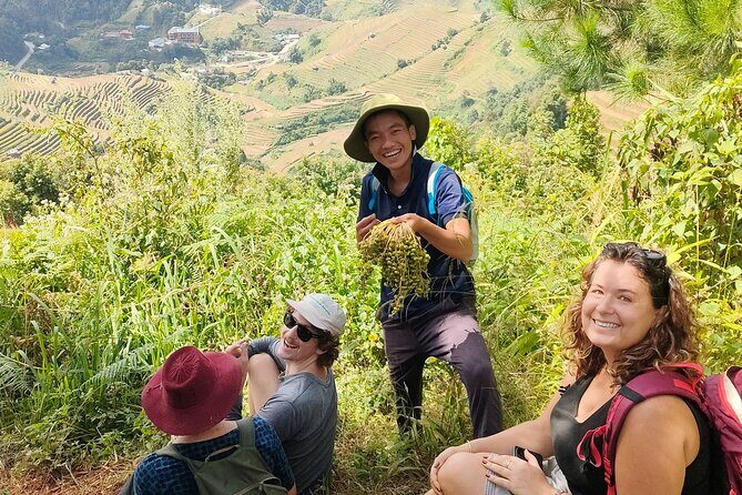Half Day Private Trekking Mu Cang Chai_Morning or Afternoon - Who Is This Tour For?
