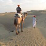 Half Day Sunset Camel ride & Cultural program dance & dinner - Why This Tour Offers Great Value