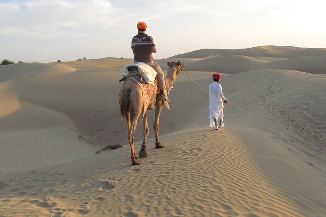 Half Day Sunset Camel ride & Cultural program dance & dinner - Why This Tour Offers Great Value