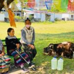 Half Day Tibetan Cultural tour Pokhara - What to Expect: The Practicalities