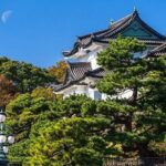 Half day Tokyo Tour by Hato Bus - What Travelers Say (Based on Reviews)