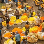 Half Day Tour to the Flower Market and Howrah Bridge in Kolkata - FAQ