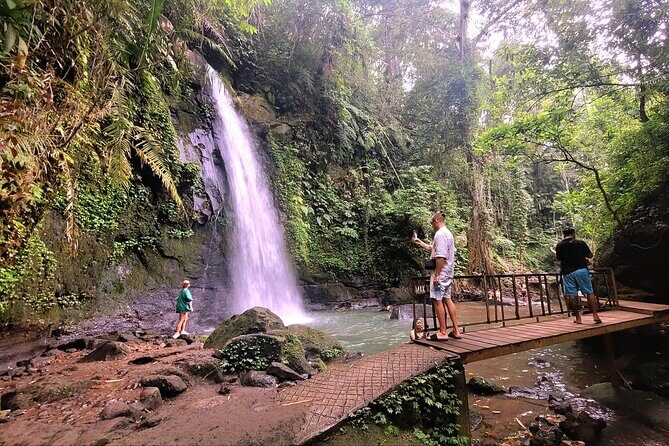 Half Day Tour Ubud Rice Terrace with Activities and Waterfall - Practical Details and What to Expect