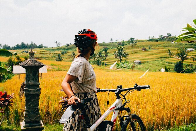 Half-Day Ubud Rice Field and Village Cycling Tour - Final Thoughts
