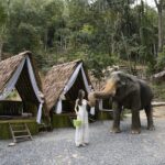 Half day with Elephants at Patong Elephant Hug No ride No trick - Exploring Patong Elephant Hug: A Detailed Review