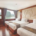 Halong Bay 4 Luxury Cruise & Ninh Binh Tour 3D2N from Hanoi - The Cruise Experience: Comfort, Views, and Activities