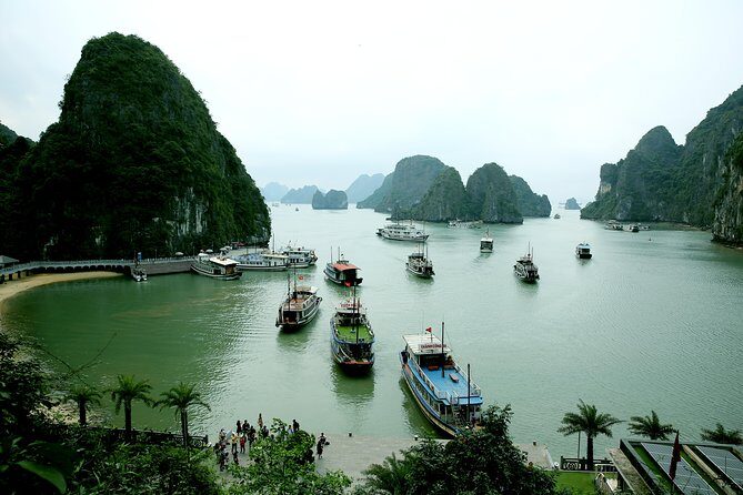 Halong Bay Cruise Tour from Hanoi with Kayak Adventure - The Journey to Halong Bay: What to Expect