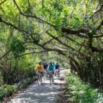 Halong Lan Ha Bay 2D1N by Sea Coral Cruise from Tuan Chau Port - Who Would Benefit Most?