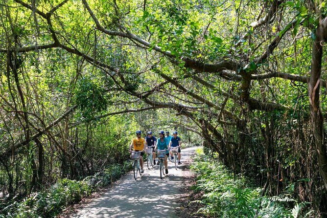 Halong Lan Ha Bay 2D1N by Sea Coral Cruise from Tuan Chau Port - Who Would Benefit Most?