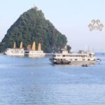 Halong Luxury Cruise 2D/1N: Kayaking, Swimming, Titop island, meals, best prices - Who Should Book This Cruise?