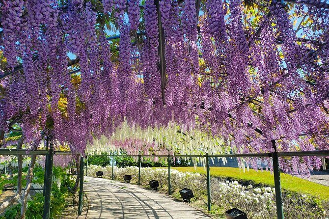 Hamamatsu Flower Park & Lake Hamana Private Tour with Public Bus - FAQ