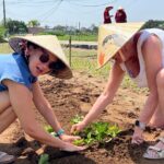 Hand on Vietnamese Cooking class with Ms hanh - What the Reviews Say